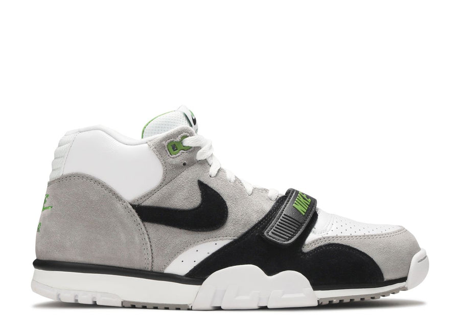 Nike SB Air Trainer 1 Chlorophyll (2020)