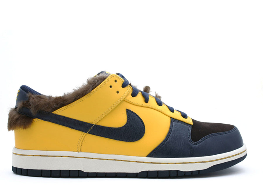 Nike Dunk Low Teen Wolf