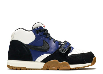 Nike SB Air Trainer 1 Polar Skate Co (WORN)