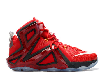 Nike LeBron 12 Elite Team (WORN)