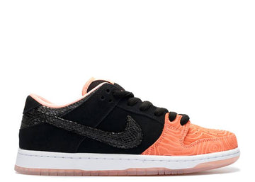 Nike Dunk SB Low Premier Fish Ladder