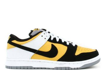 Nike SB Dunk Low Bic (WORN)