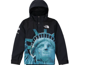 Supreme The North Face Statue of Liberty Mountain Jacket Black